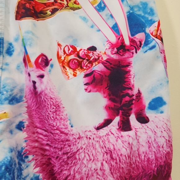 Cat riding a llama taco burrito print fully lined swim shorts men's size small - Picture 6 of 9